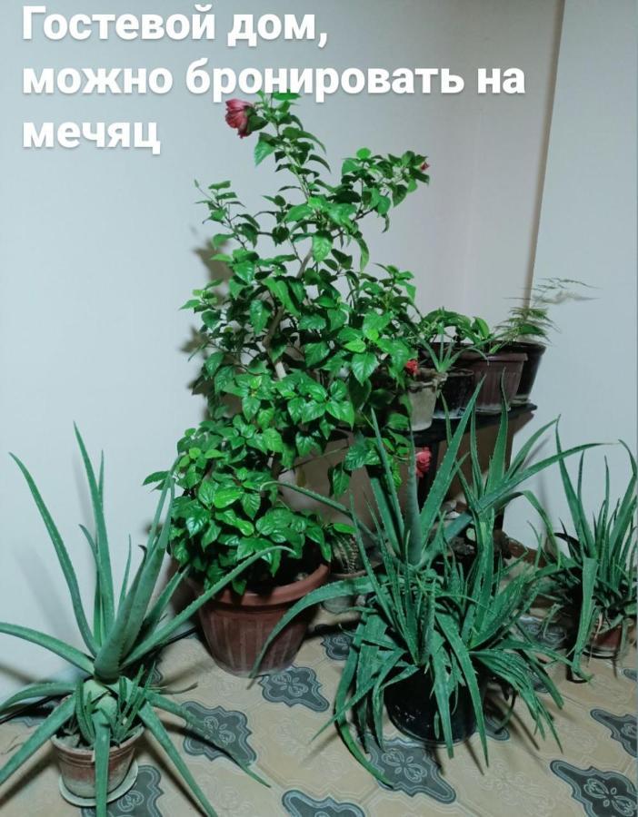 Sultan Apartment Samarkand Ngoại thất bức ảnh